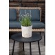 ZESTAW OGRODOWY PAOLA RATTAN