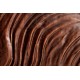 KOMODA FLUID 100X38 CM CIEMNA AKACJA