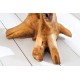 STOLIK KAWOWY II ROOT 42 CM TEAK