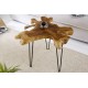 STOLIK KAWOWY WILD 60 CM TEAK