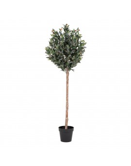 Drzewko oliwne 150cm