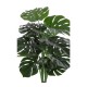 Monstera 90cm